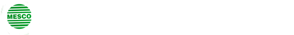 Mesco Institute of Management and Computer Science